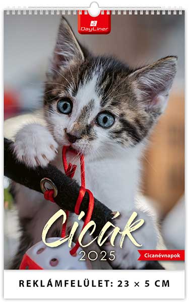 Naptr 2025: Kittens (Kiscick) falinaptr