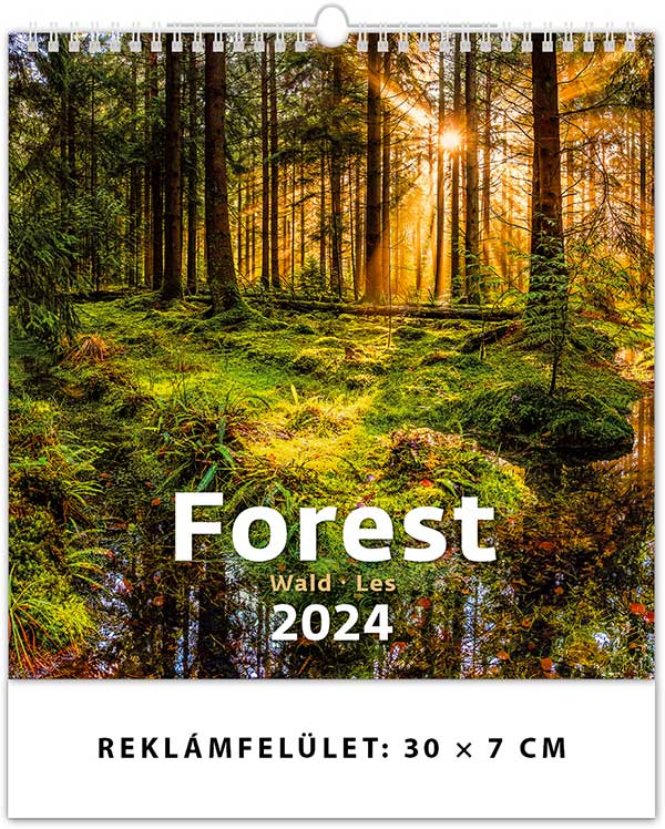 Naptár 2022: Erdők falinaptár
