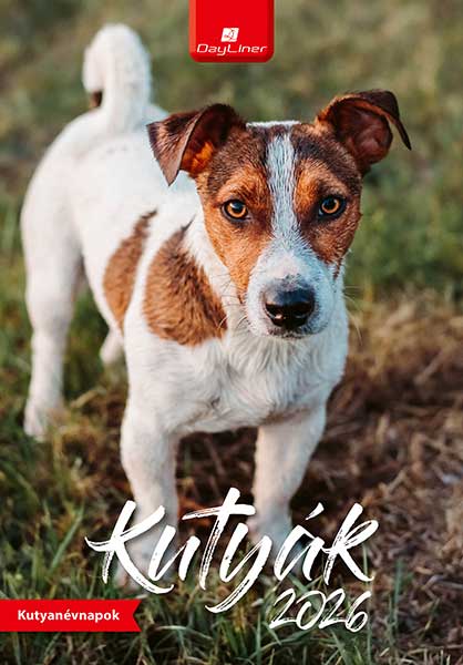 Naptr 2026: Kutyk falinaptr
