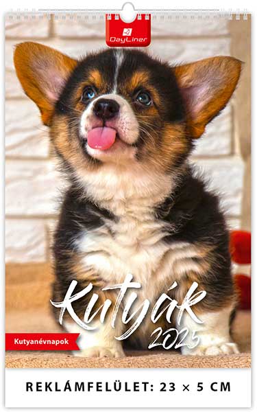 Naptr 2025: Kutyk falinaptr
