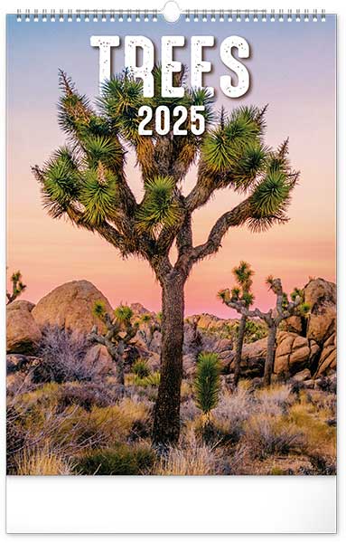 Naptr 2025: Trees II. falinaptr