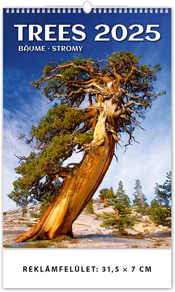 Naptr 2025: trees naptr